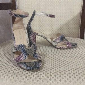 Andrew Geller heels